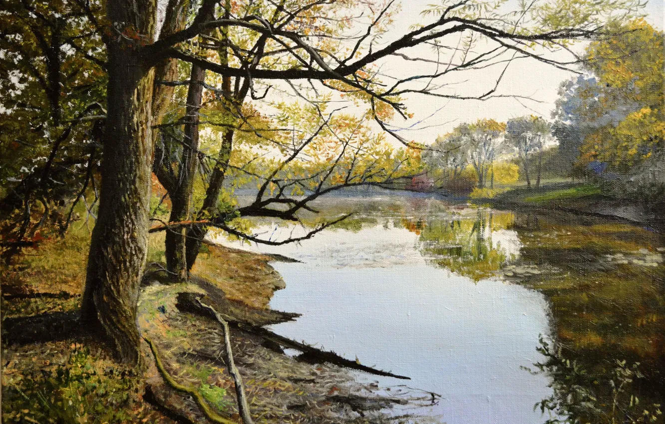 Photo wallpaper forest, water, trees, landscape, branches, nature, lake, picture