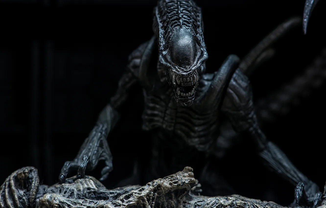 Photo wallpaper toy, Stranger, figurine, alien, thing