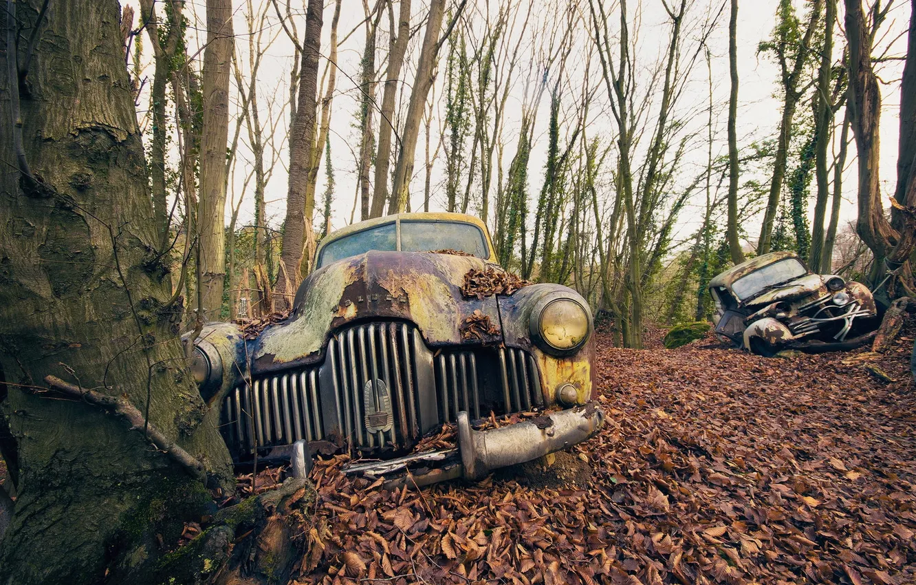 Photo wallpaper machine, background, scrap