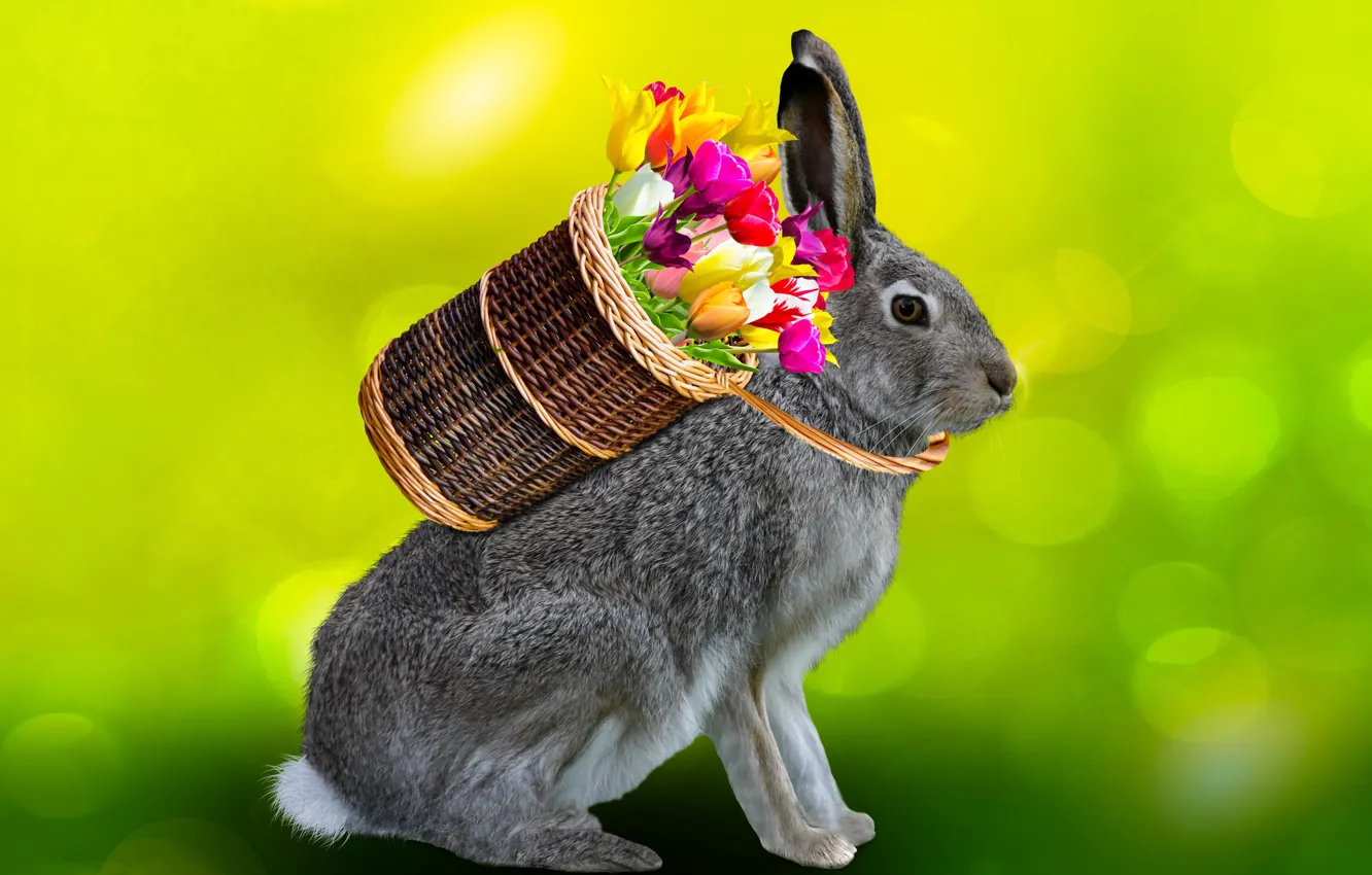 Photo wallpaper light, flowers, glare, rendering, grey, holiday, collage, hare