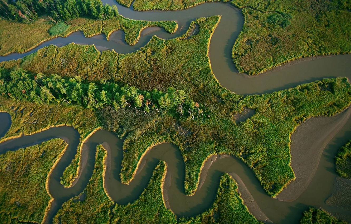 Photo wallpaper forest, trees, landscape, nature, river, plant, the view from the top, relief