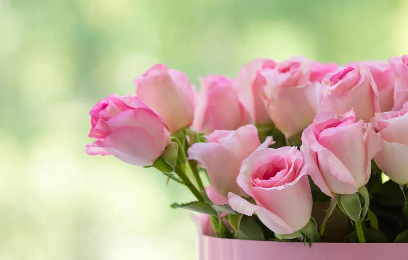 Photo wallpaper flowers, roses, bouquet