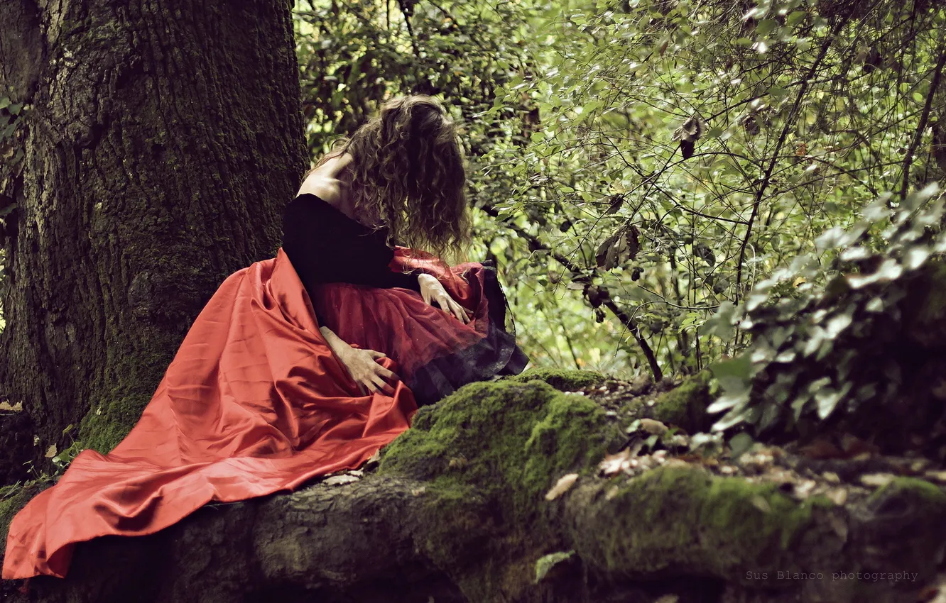 Photo wallpaper forest, girl, background