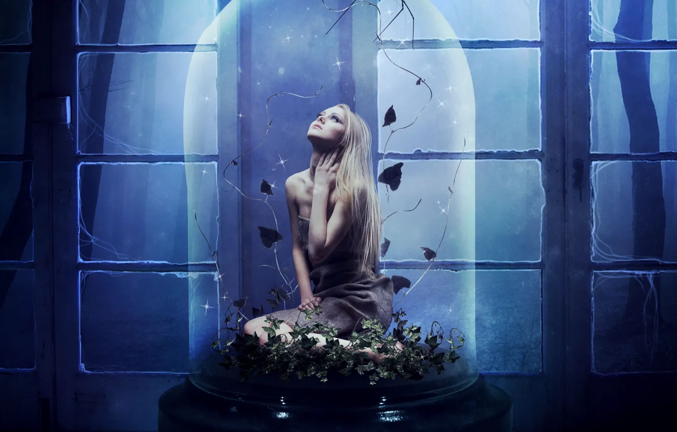 Photo wallpaper look, girl, face, room, spider, window, blonde, imprisonment