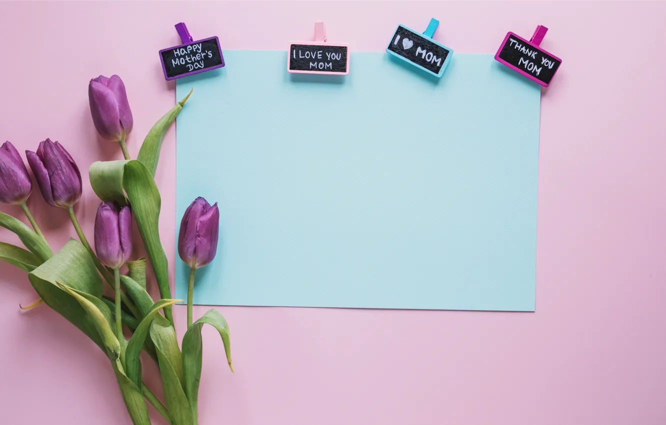 Photo wallpaper flowers, gift, bouquet, tulips, love, fresh, flowers, romantic