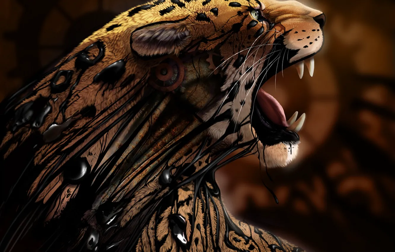 Photo wallpaper spot, Cheetah, fangs