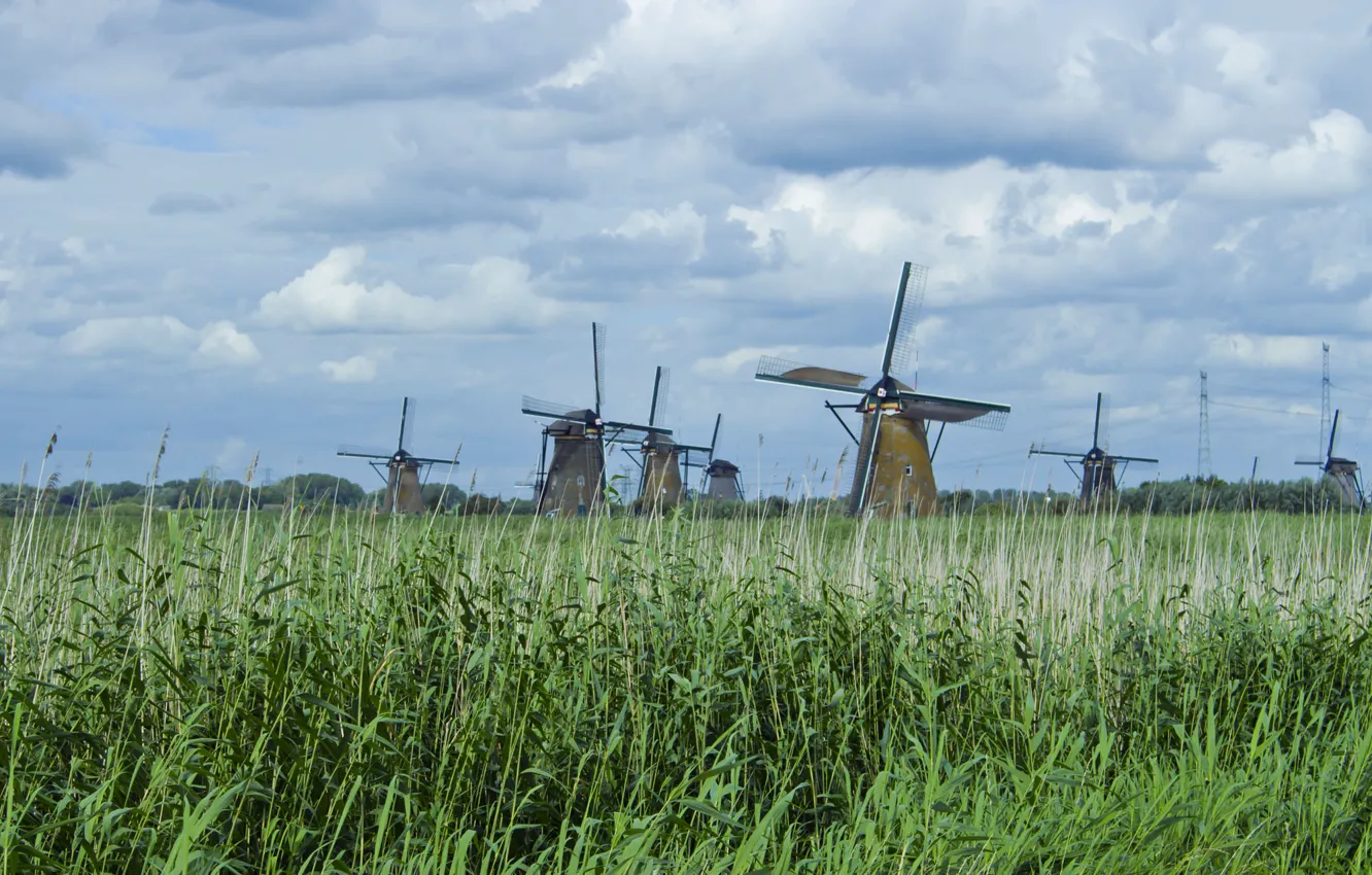Photo wallpaper the sky, grass, clouds, nature, mill, reed, mill, Holland