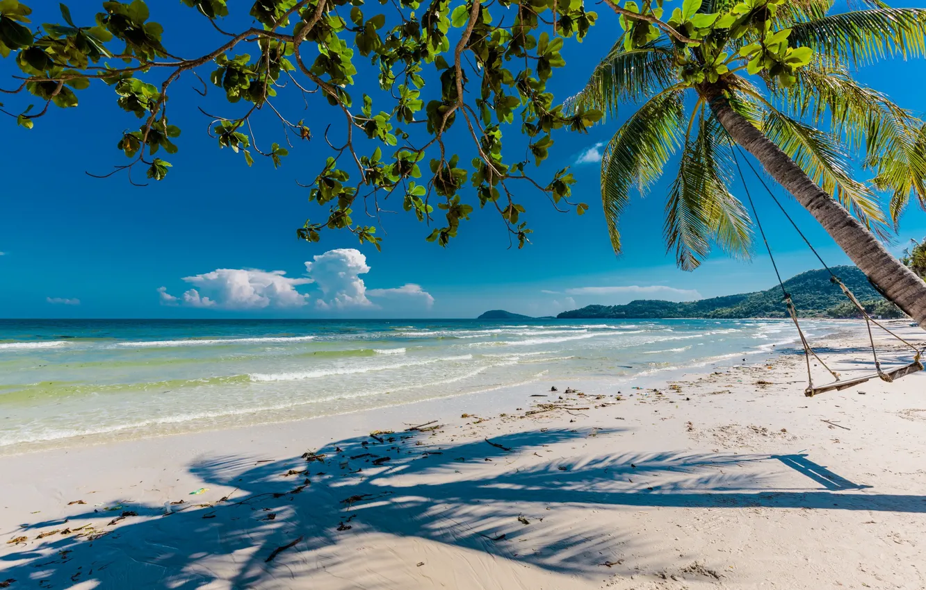 Photo wallpaper beach, shadows, palm tree