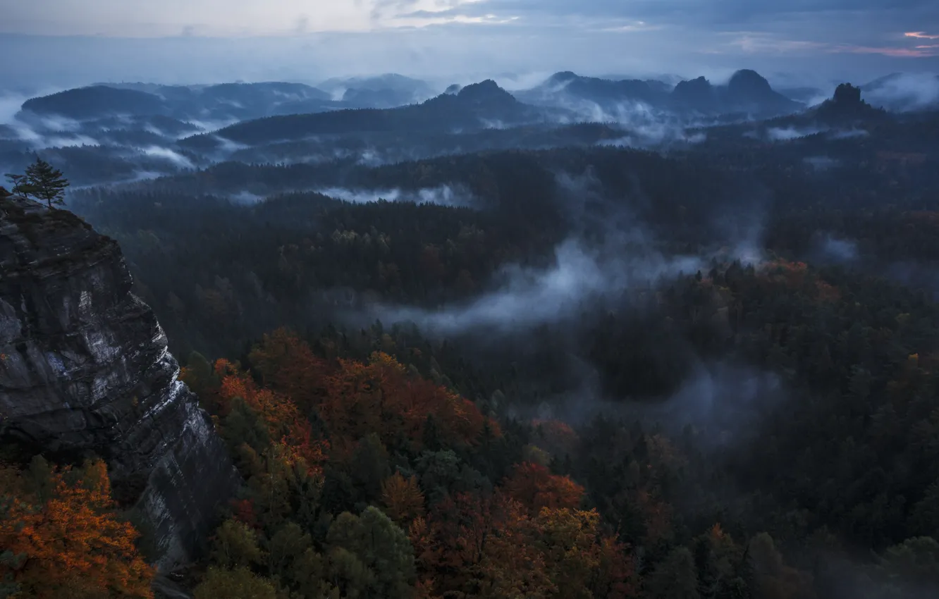 Photo wallpaper autumn, forest, the sky, clouds, mountains, nature, rocks, haze