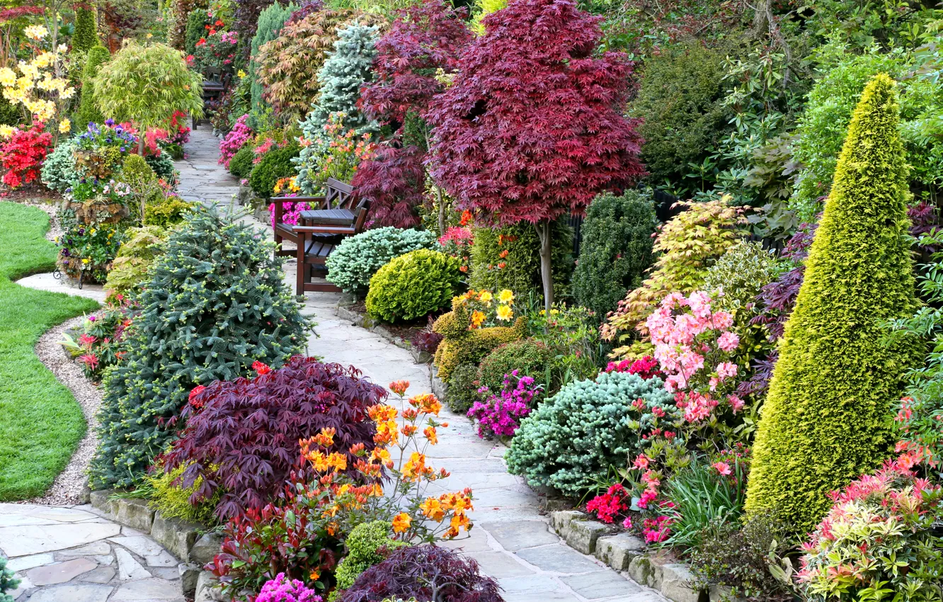 Photo wallpaper flowers, design, lawn, garden, track, benches, the bushes, benches