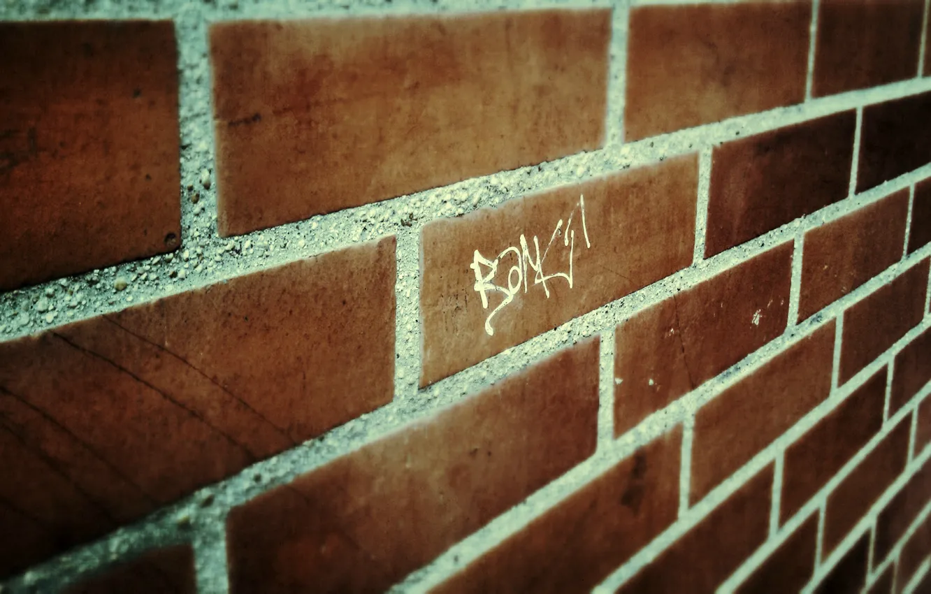 Photo wallpaper wall, grafiti, brickwork