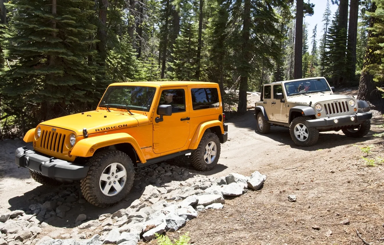 Photo wallpaper forest, trees, stones, jeep, SUV, Wrangler, Ringler, Jeep