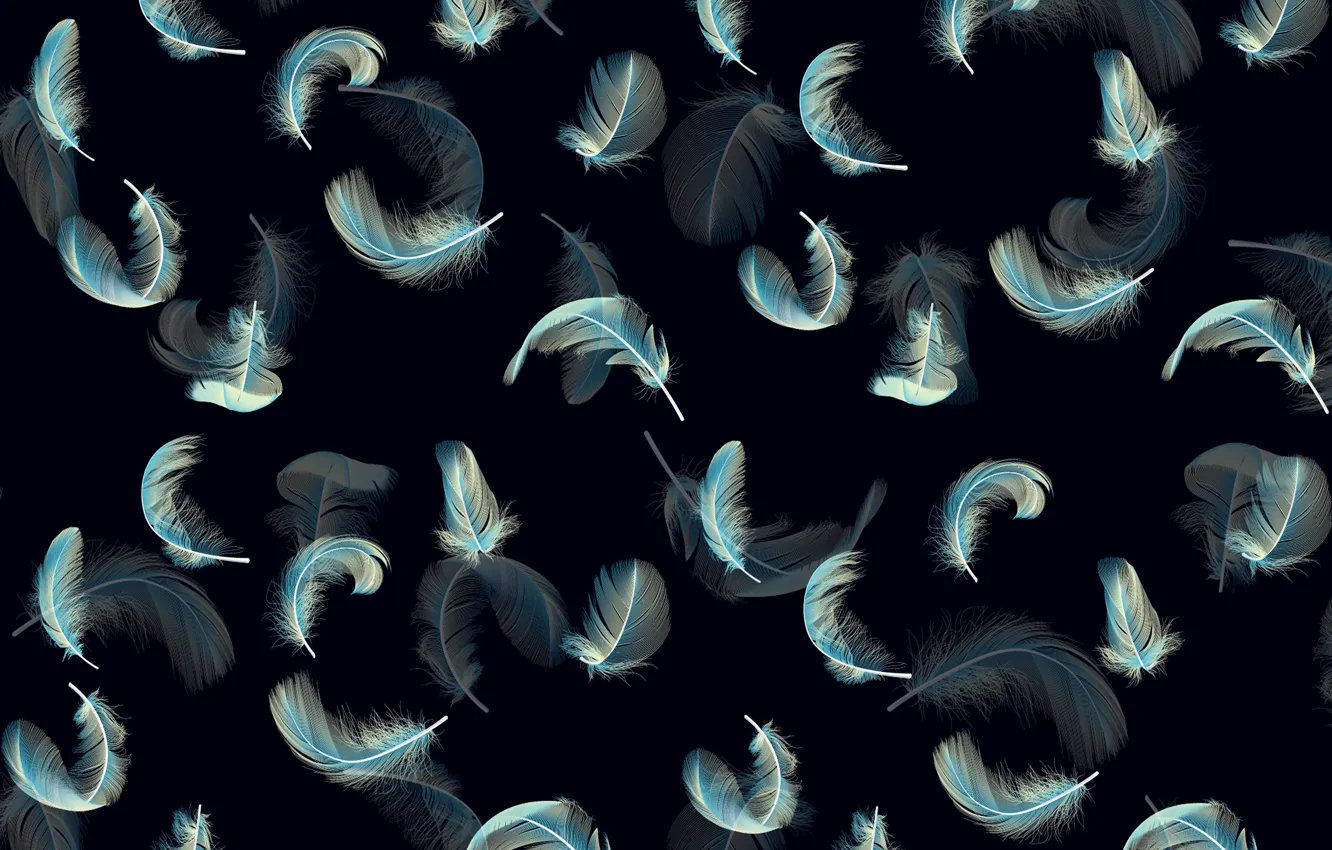 Photo wallpaper blue, pattern, feathers