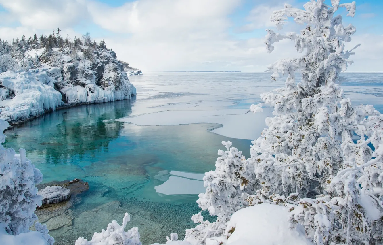Photo wallpaper winter, snow, tree, ice, Canada, Bay, Ontario, Canada