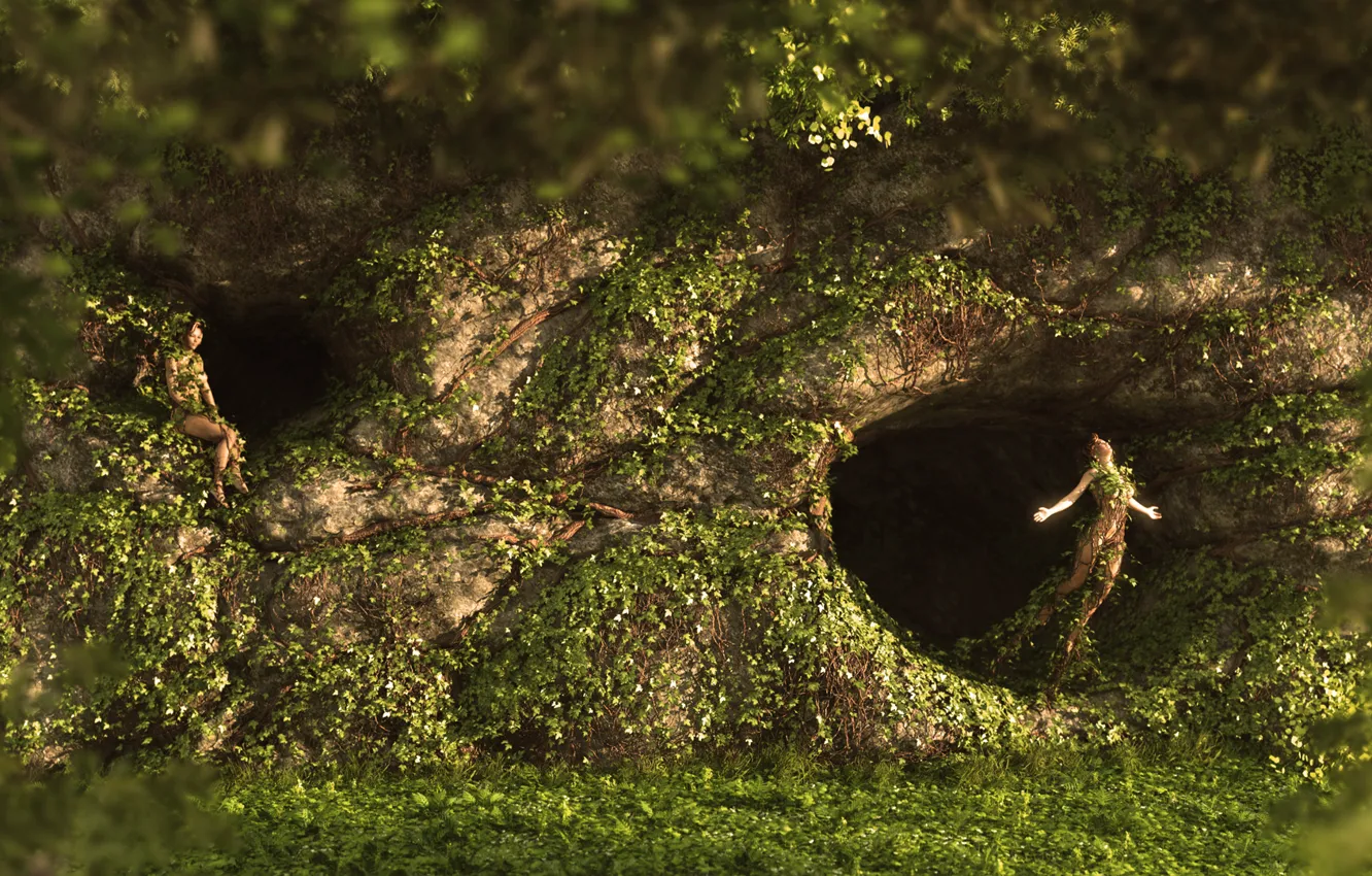 Photo wallpaper forest, fairies, caves