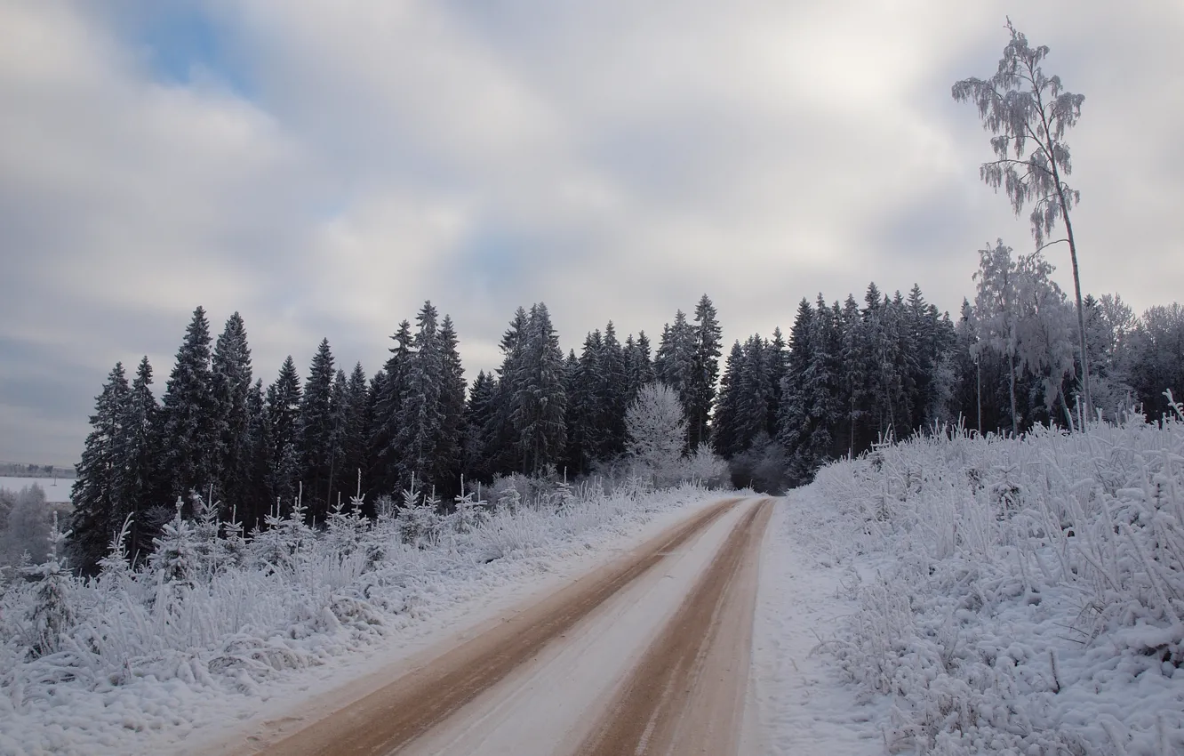 Photo wallpaper winter, road, the sky, snow, trees