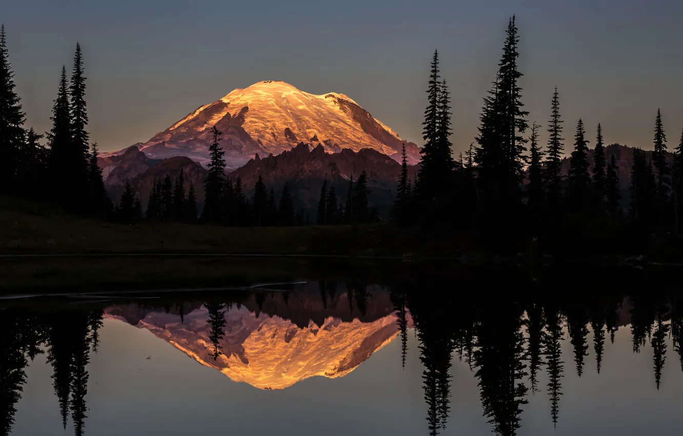 Photo wallpaper forest, mountains, night, river