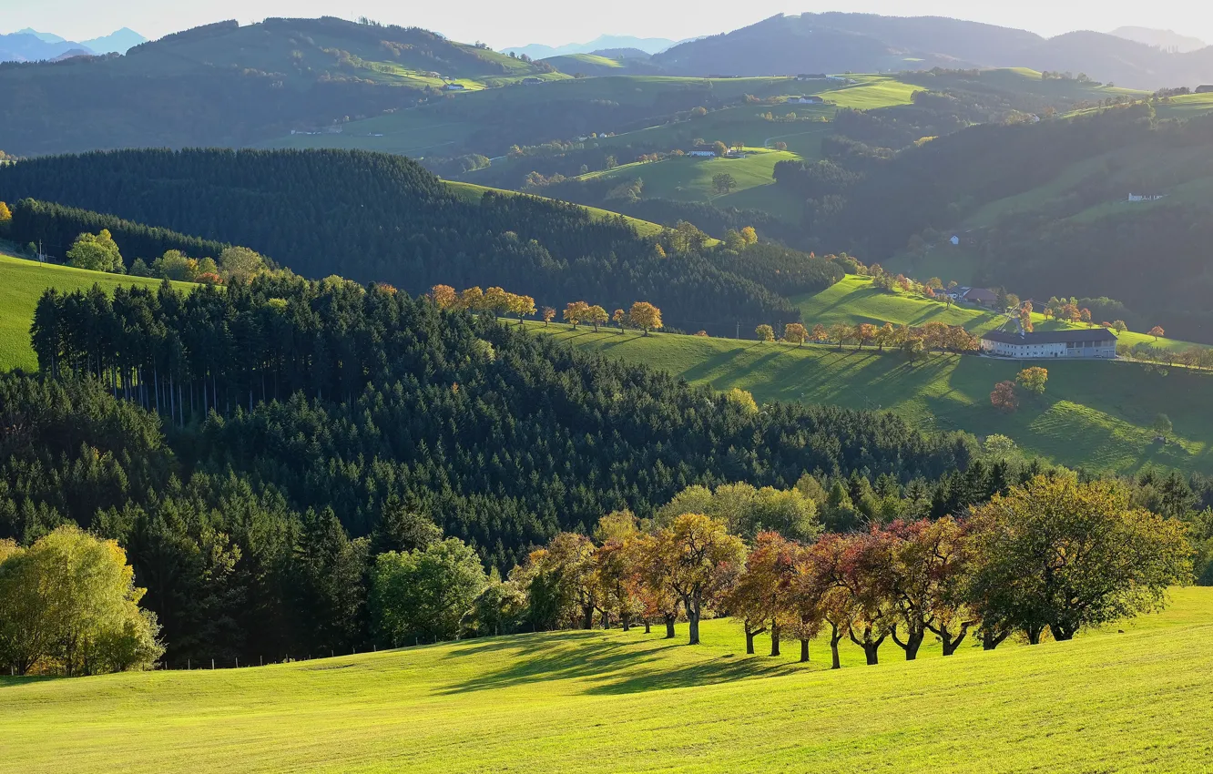 Photo wallpaper field, autumn, forest, light, trees, mountains, fog, hills