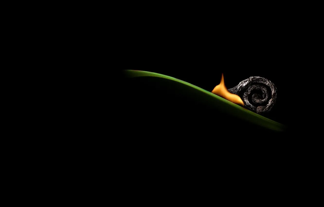 Photo wallpaper grass, lights, snail, minimalism