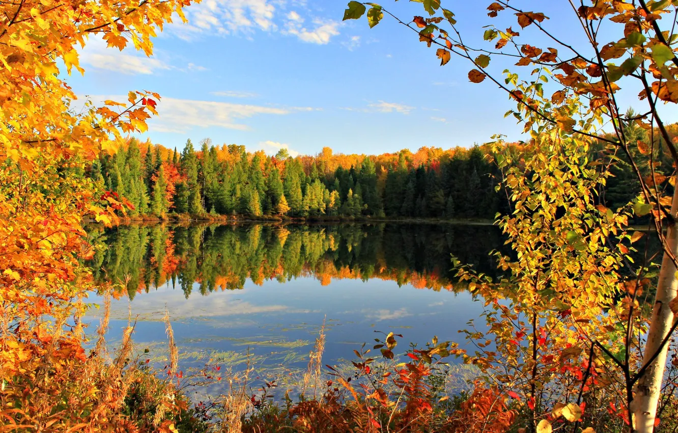 Photo wallpaper autumn, the sky, leaves, clouds, trees, lake, pond, autumn