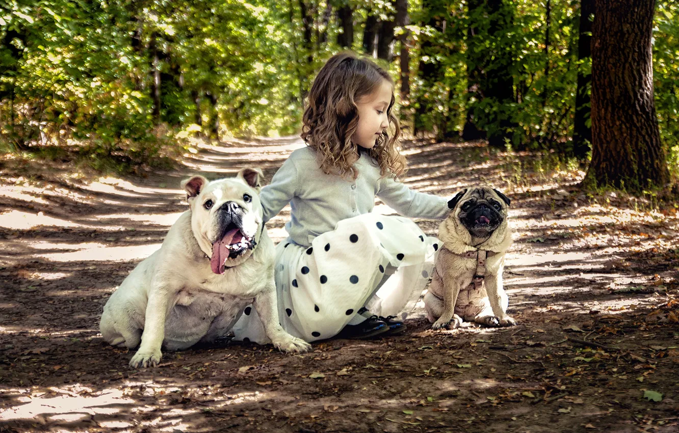 Photo wallpaper trees, nature, children, animal, dog, girl, pug, bulldog