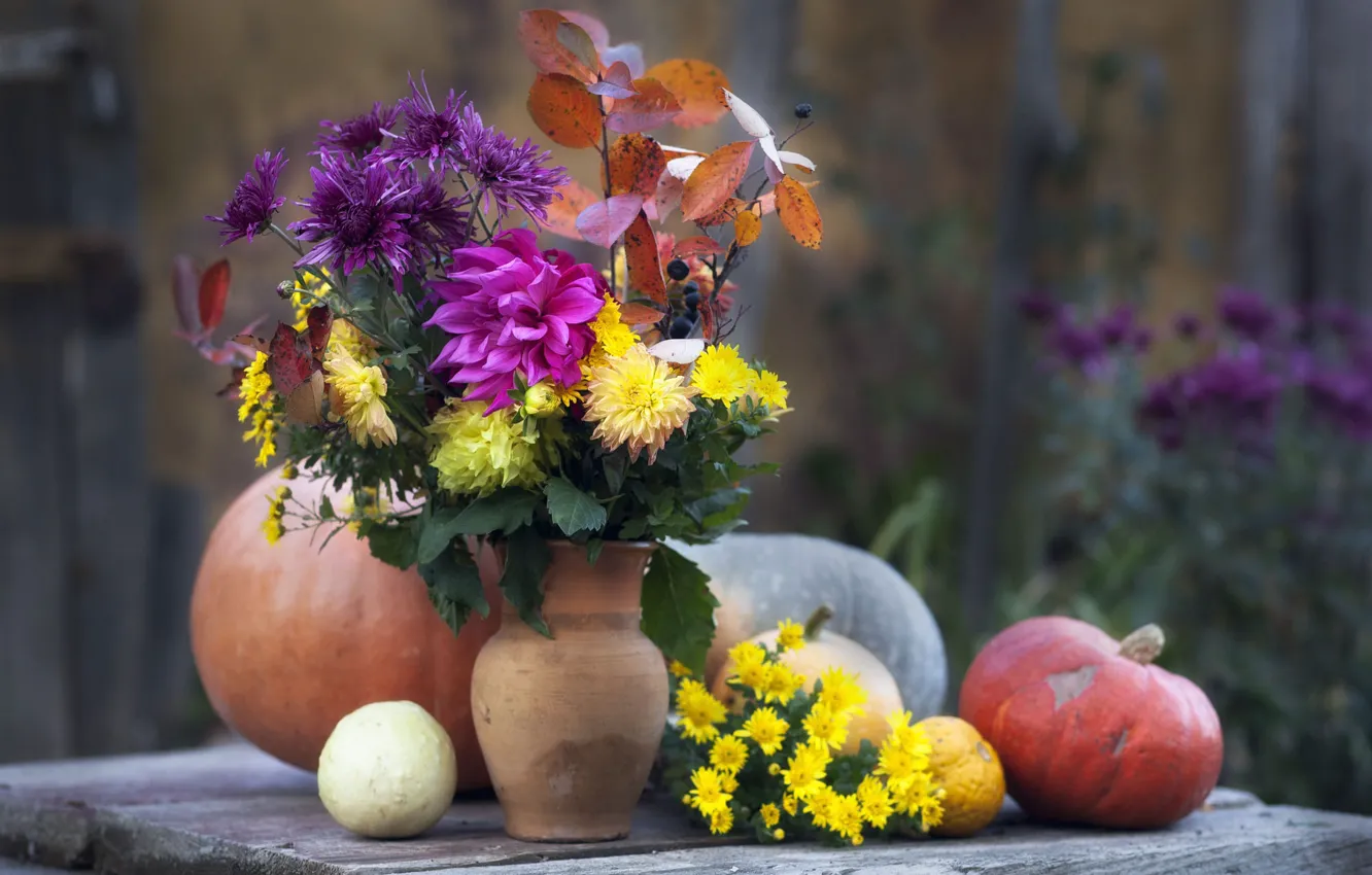 Photo wallpaper autumn, flowers, yellow, table, Board, bouquet, garden, harvest