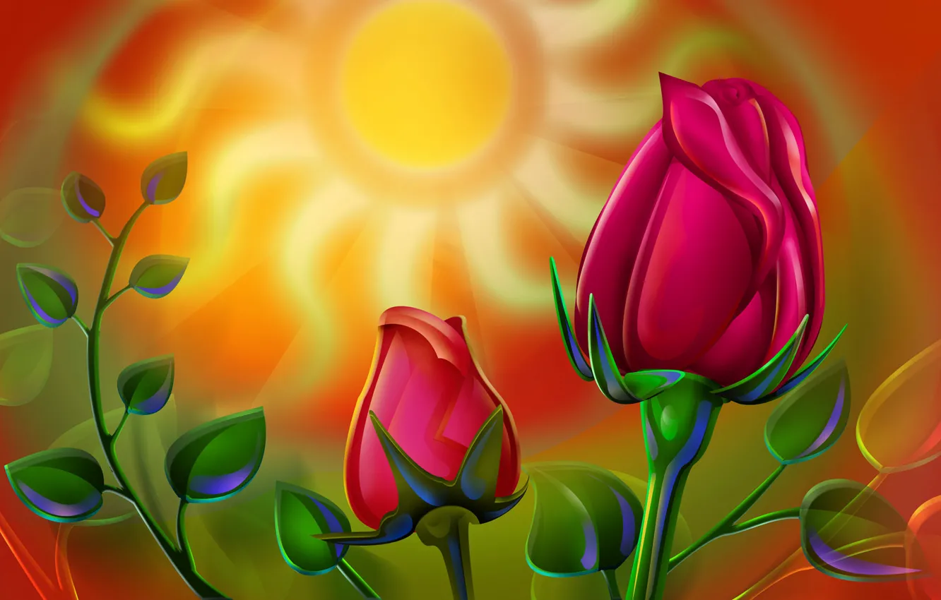 Photo wallpaper the sun, figure, roses, picture, stem, buds