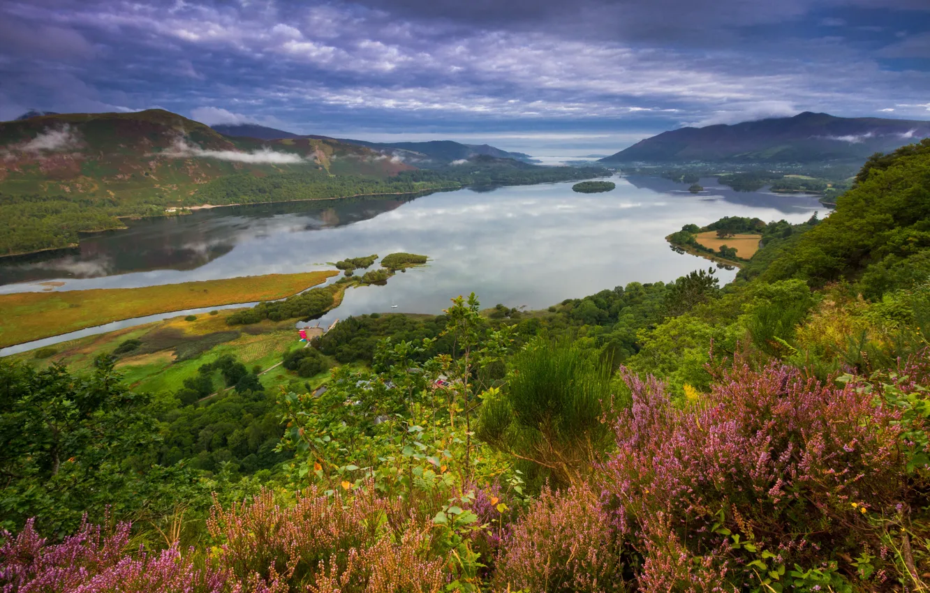 Photo wallpaper mountains, shore, pond, Heather