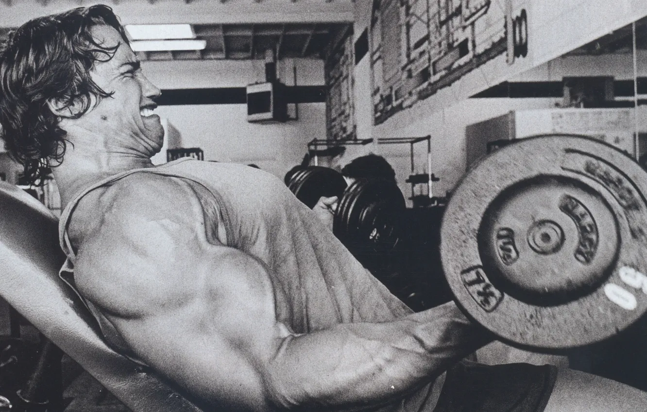 Photo wallpaper man, actor, Arnold Schwarzenegger, rocking, the gym, dumbbells, Arnold Schwarzenegger