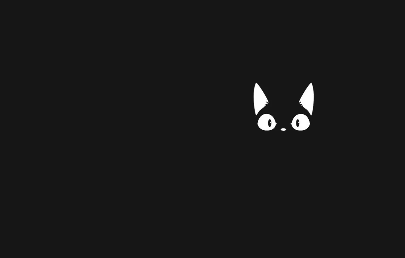 Photo wallpaper cat, eyes, art, kitty, neko, ears