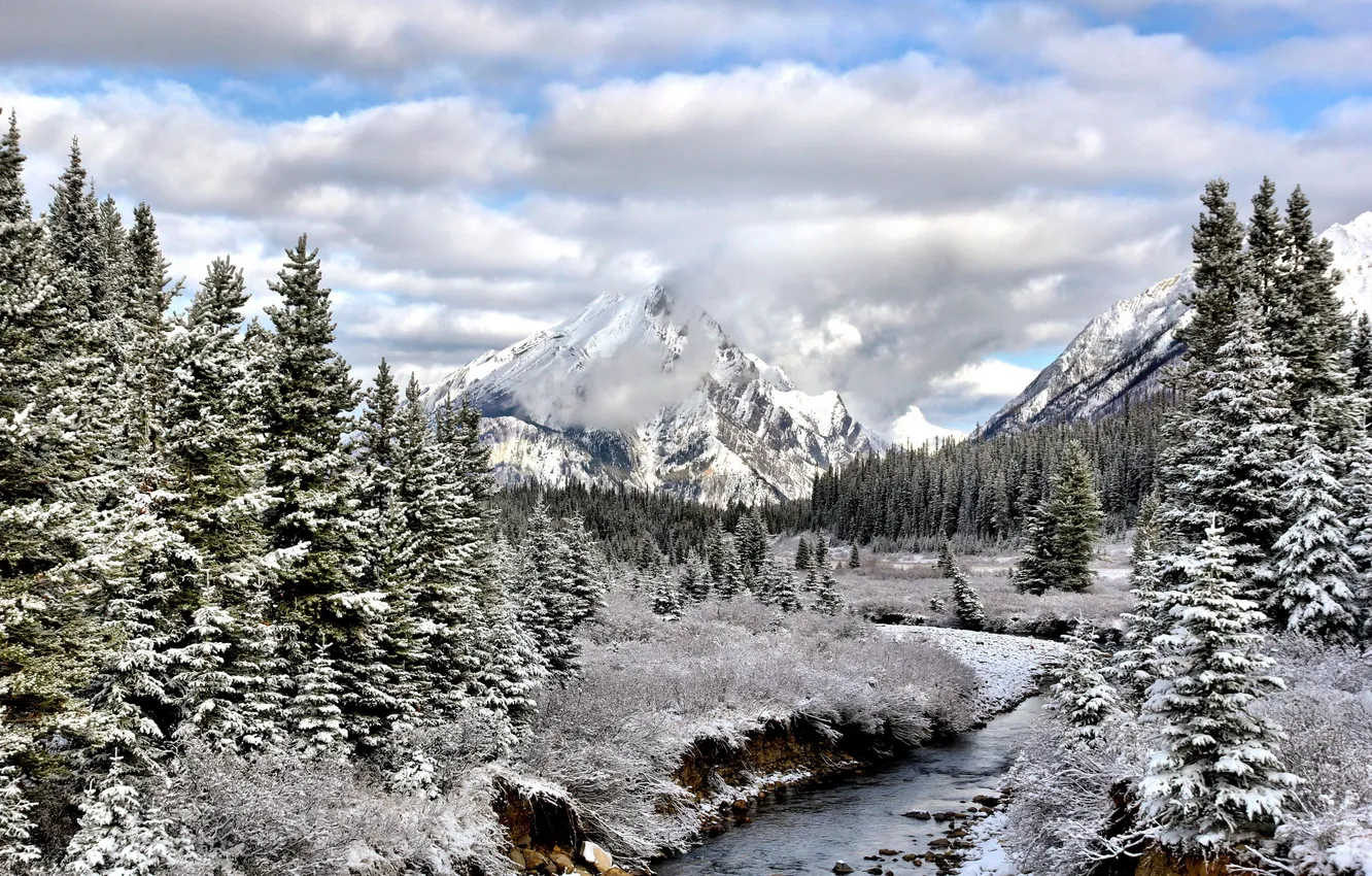Photo wallpaper Alberta, Mt Engadine, Snowy Autumn
