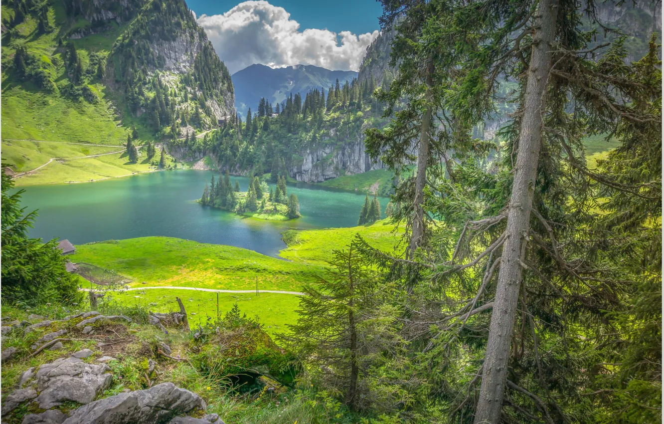 Photo wallpaper lake, island, Switzerland, Hinterstocker