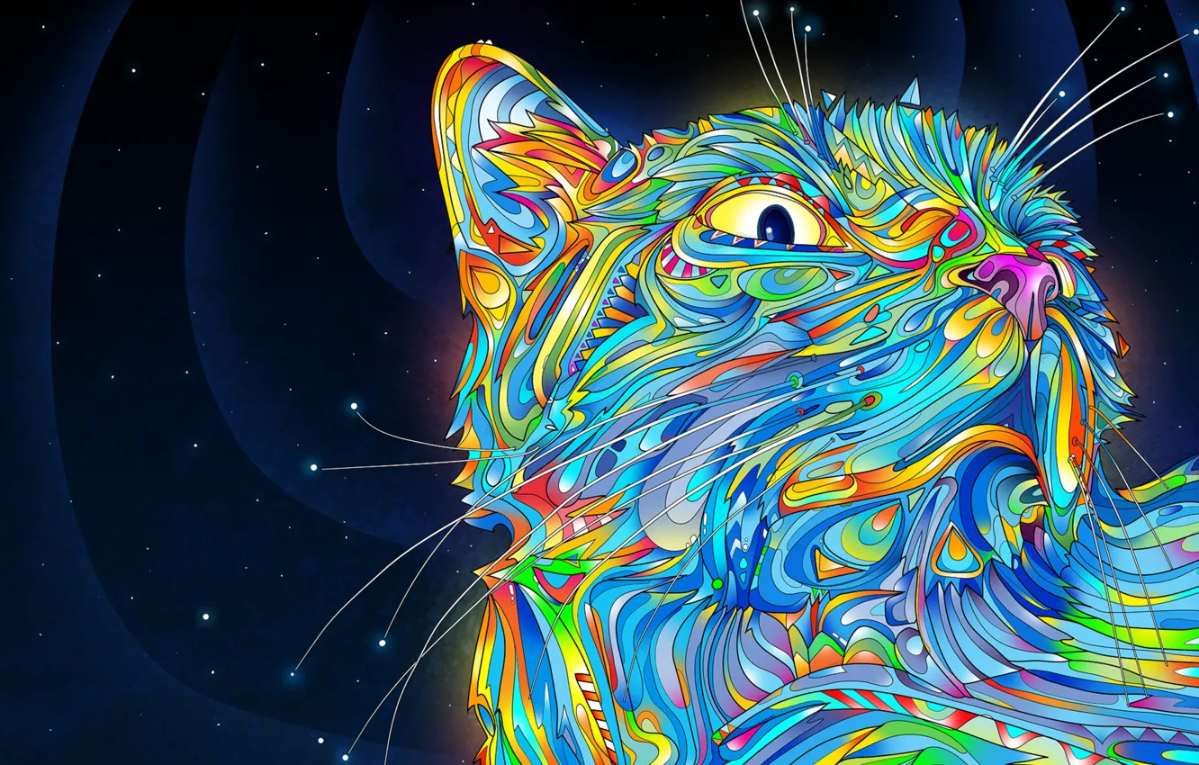 Photo wallpaper cat, mustache, color, swirls