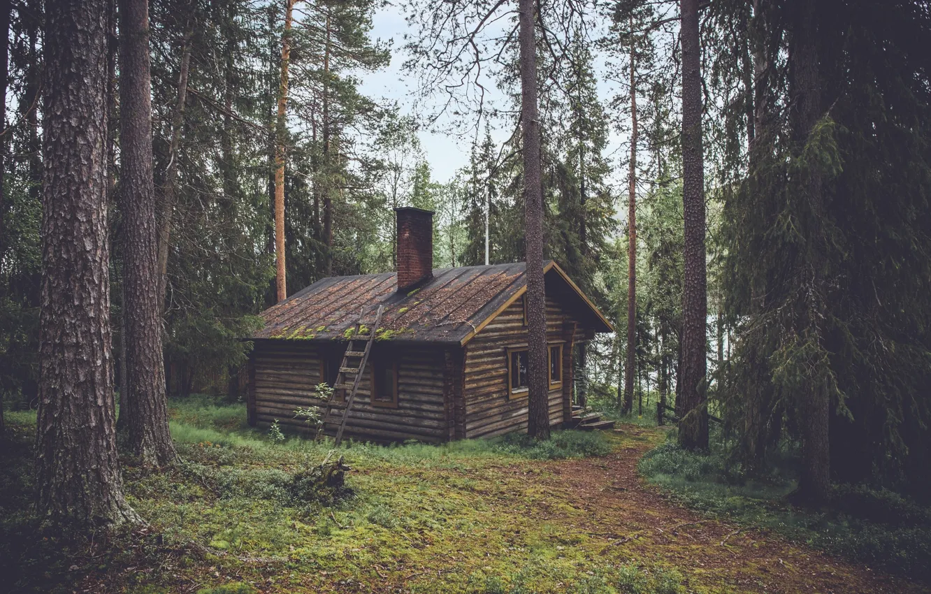 Photo wallpaper house, forest, trees, nature, woods, chalet, hut