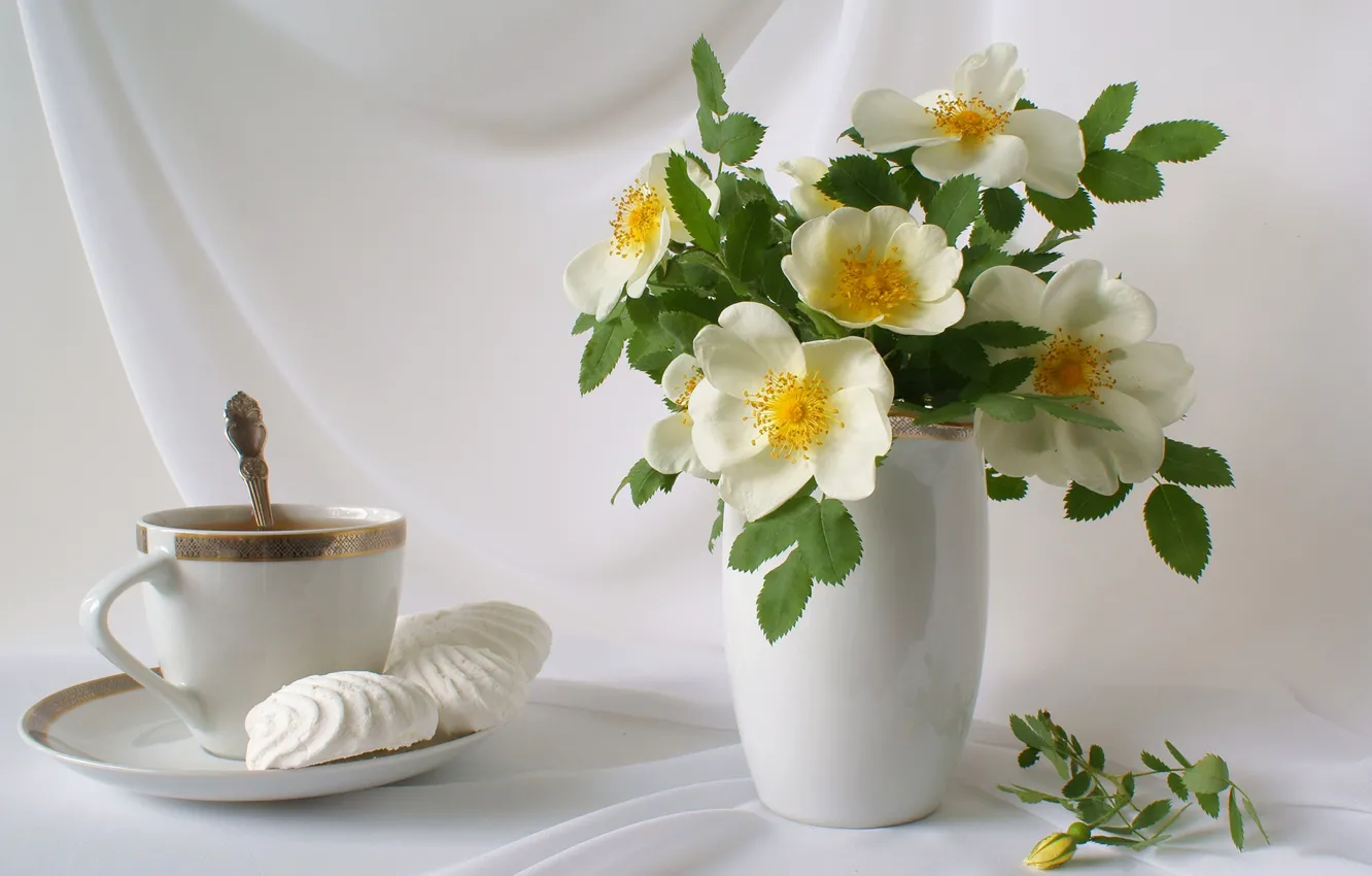 Photo wallpaper flowers, tea, bouquet, petals, Cup, vase, still life, saucer