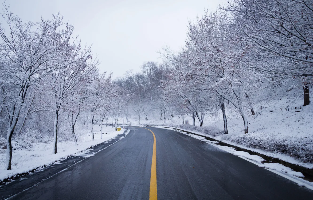 Photo wallpaper winter, road, forest, the sky, asphalt, clouds, snow, trees