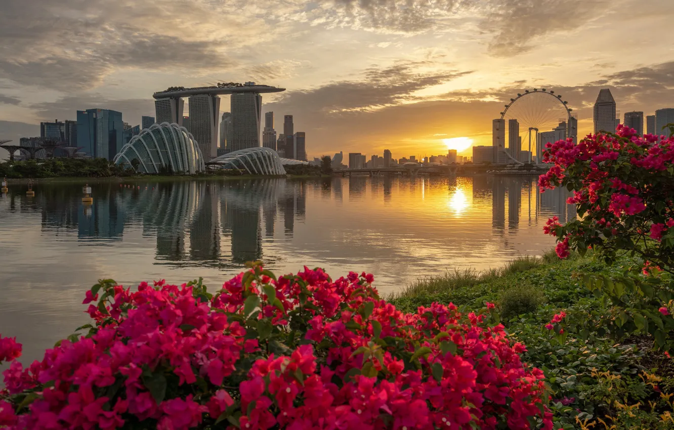 Photo wallpaper flowers, the city, Singapore, Singapore