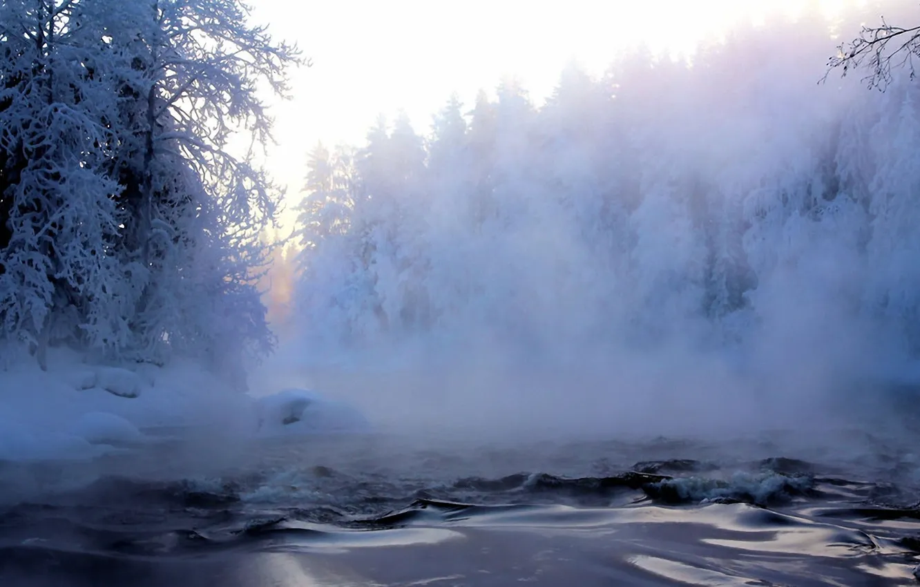 Photo wallpaper frost, forest, snow, trees, fog, river, Winter, haze