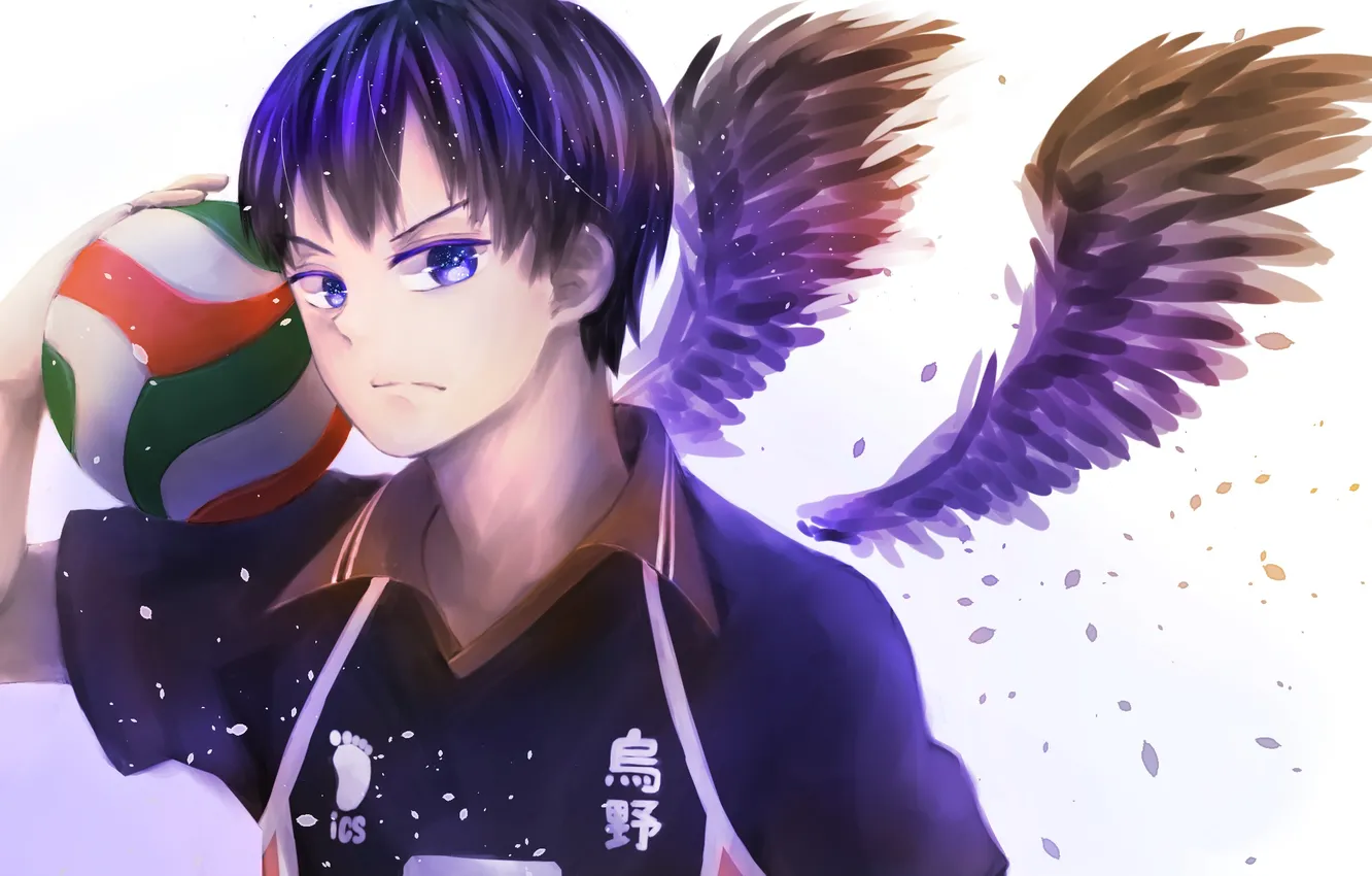 Photo wallpaper the ball, wings, art, guy, tobio kageyama, haikyuu!!, nyoki1228