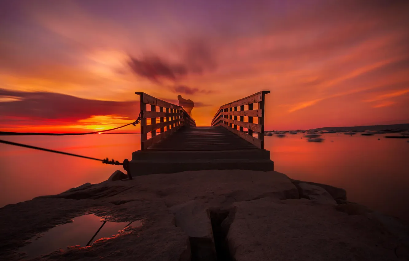 Photo wallpaper landscape, dawn, Bay, pierce