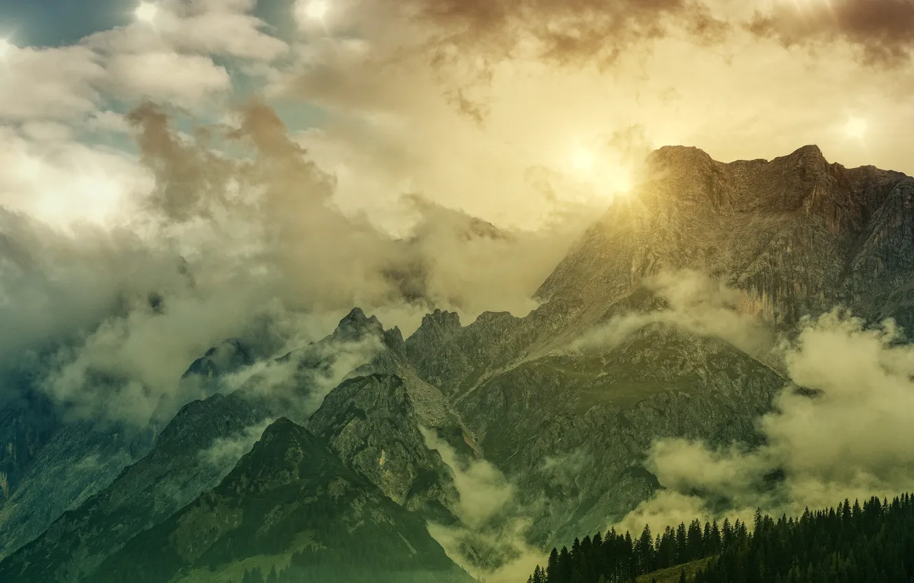 Photo wallpaper forest, the sky, the sun, clouds, light, mountains, fog, rocks
