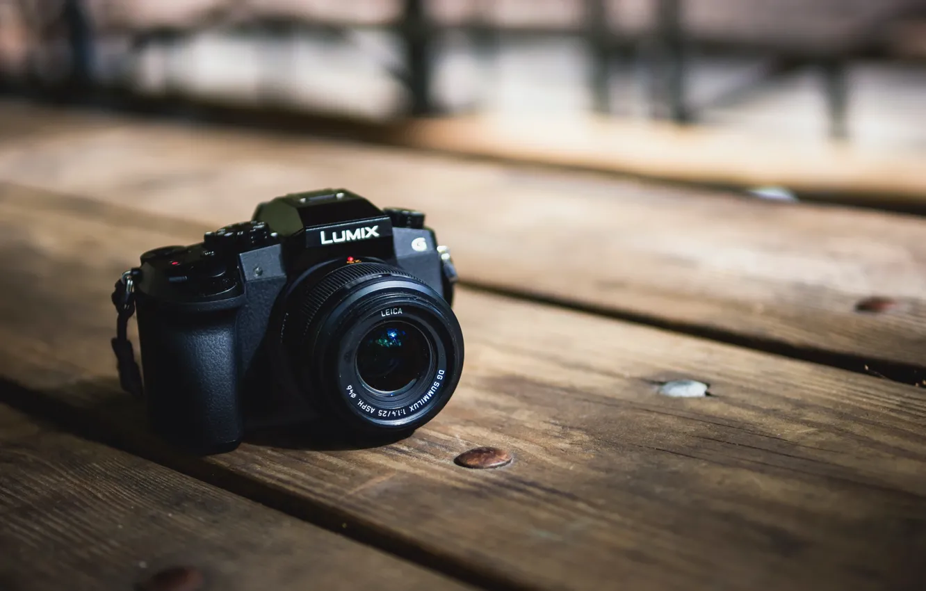 Photo wallpaper macro, background, camera