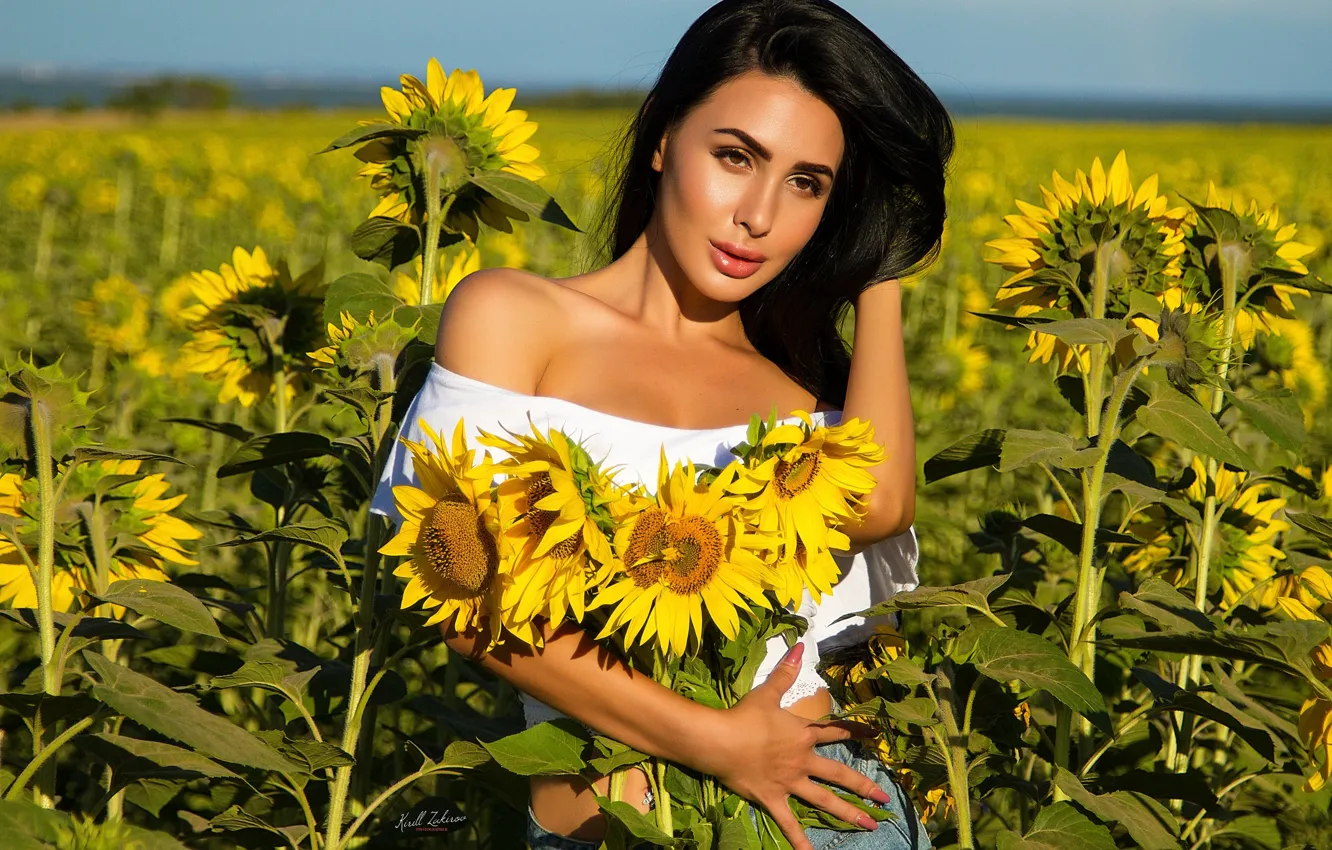 Photo wallpaper field, girl, sunflowers, pose, mood, hands, brunette, Cyril Zakirov