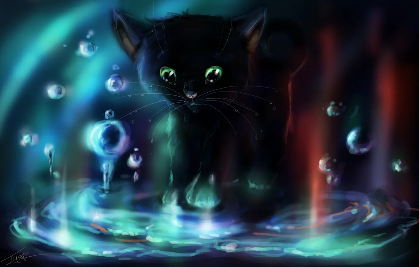 Photo wallpaper water, bubbles, Kitty