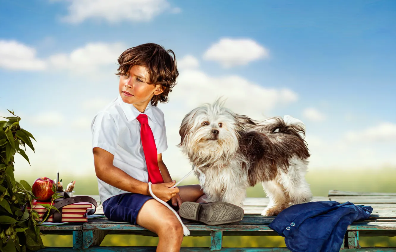 Photo wallpaper dog, boy, book