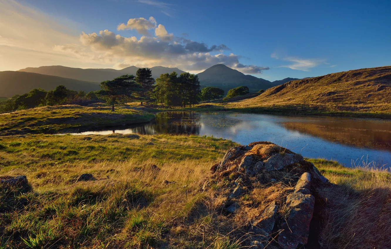 Photo wallpaper autumn, forest, the sky, grass, clouds, light, trees, mountains