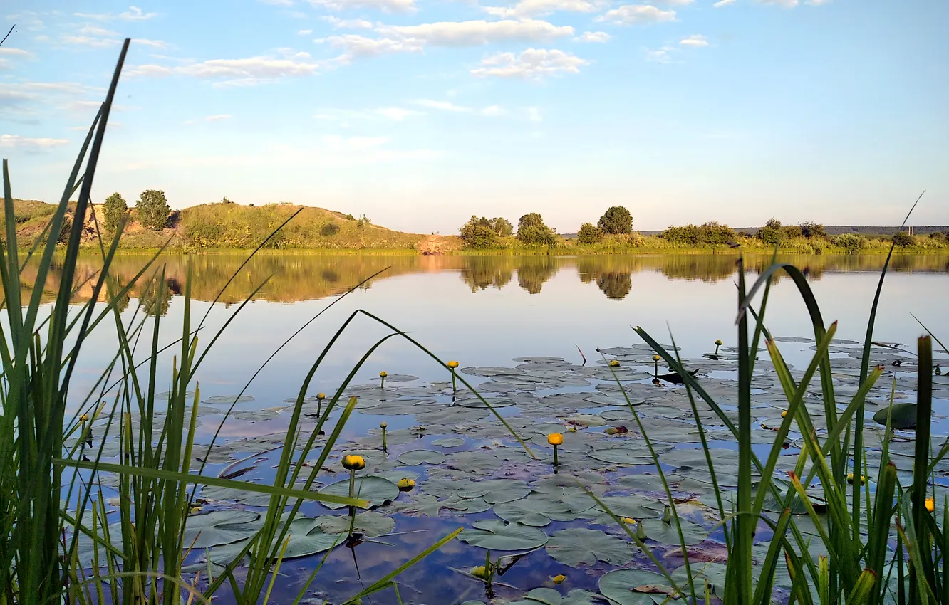 Photo wallpaper the sky, lake, Lily