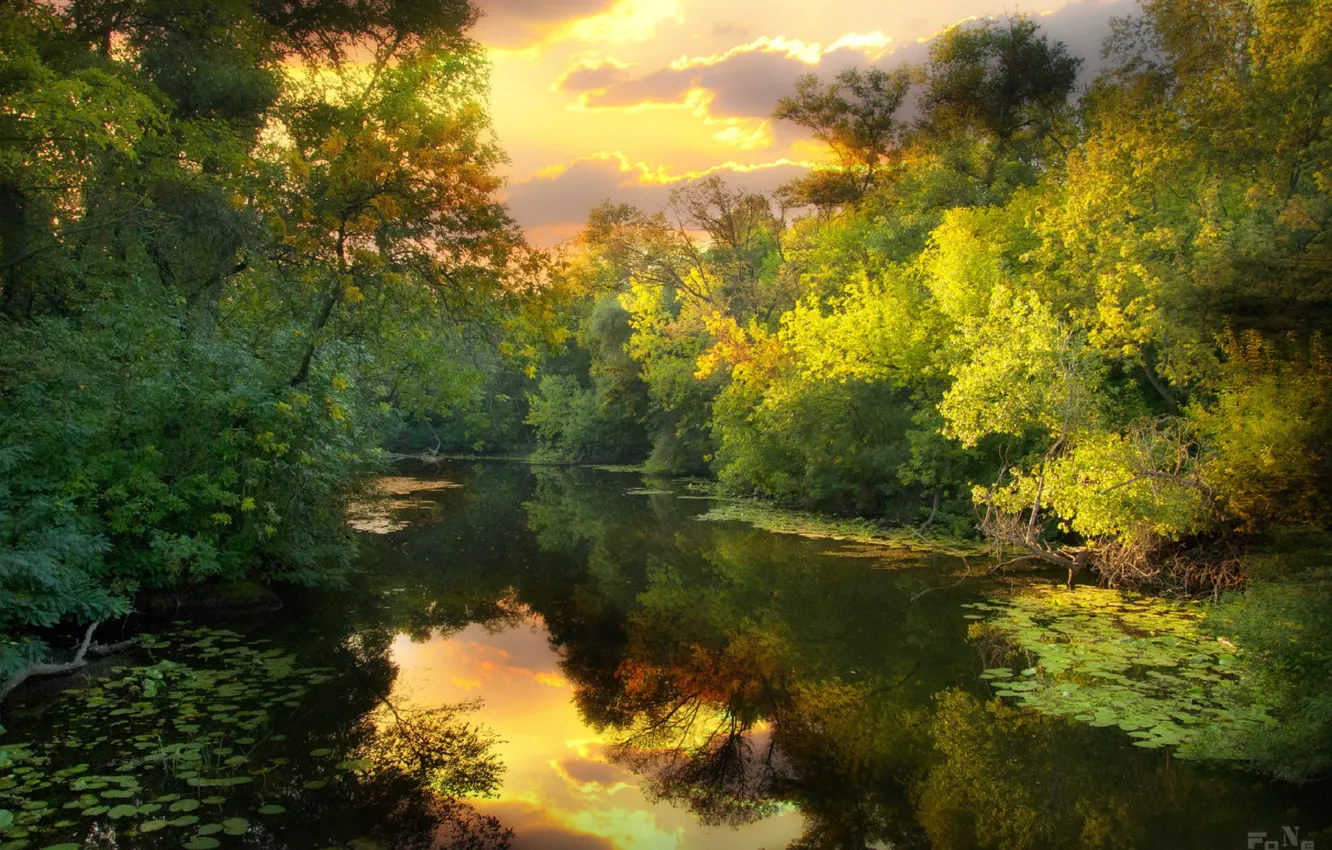 Photo wallpaper the sun, trees, reflection, river, the evening