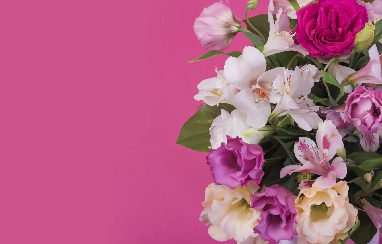 Photo wallpaper flowers, background, Lily, pink, pink, flowers, lily