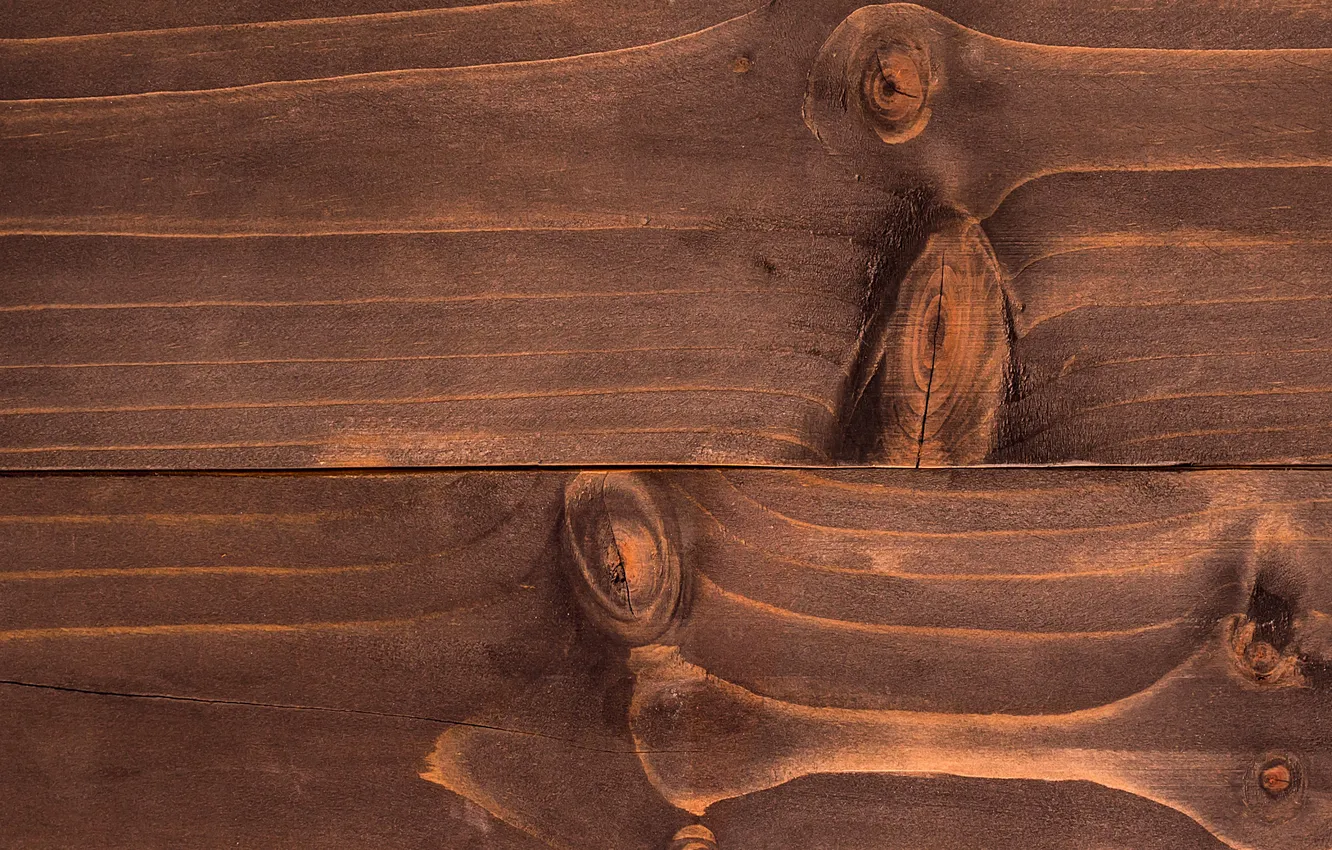 Photo wallpaper color, texture, wood